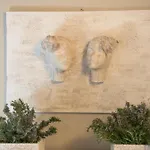 Farma La Fonte